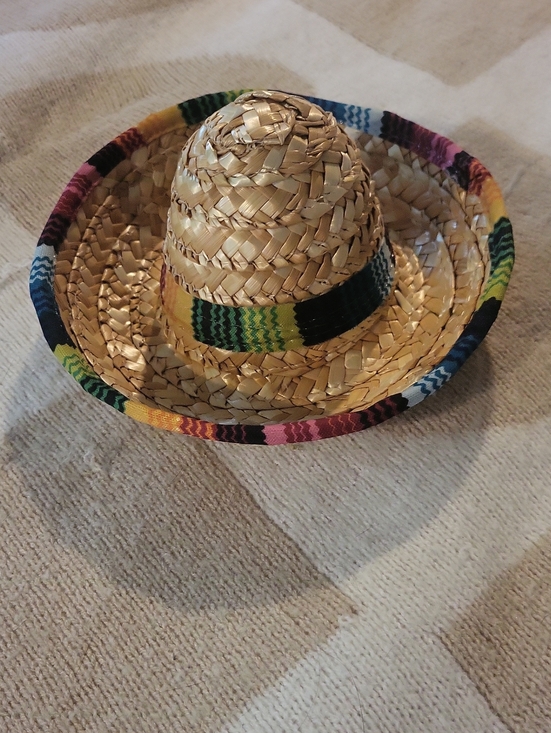Other - PRE-LOVED Adorable Dog Straw Sombrero Hat With Multicolor Trim🧡